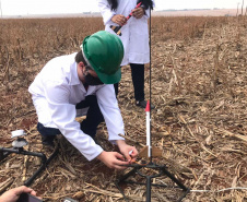 Projeto de reflorestamento com minifoguetes é finalista de prêmio científico nacional. Foto:SEED