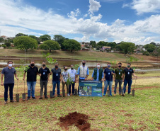 Com mudas do IAT, Parque das Torres é reflorestado em Campo Mourão. Foto: IAT