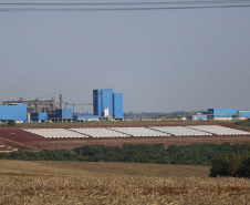 Palotina - 10-10-2020 - Cooperativa C Vale - Industria de Aves e Tilapia  - Foto : Jonathan Campos / AEN