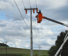 O programa Paraná Trifásico alcançou 2,5 mil quilômetros de novas redes de energia elétrica no Estado