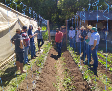 IDR-Paraná usa a internet capacitação conjunta em agricultura orgânica. Foto: IDR