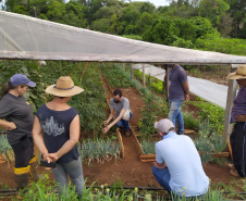 IDR-Paraná usa a internet capacitação conjunta em agricultura orgânica. Foto: IDR
