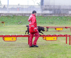 Bombeiros promovem certificação estadual de cães de busca e resgate. Foto: SESP