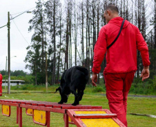 Bombeiros promovem certificação estadual de cães de busca e resgate. Foto: SESP