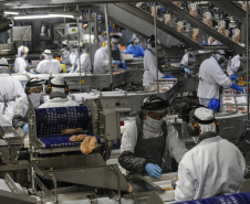 Palotina - 10-10-2020 - Cooperativa C Vale - Industria de Aves e Tilapia  - Foto : Jonathan Campos / AEN