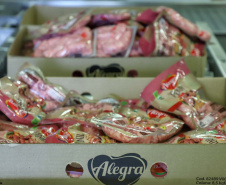 Com sede em Castro, a Alegra abate 3200 suínos por dia e produz cerca de 140 toneladas de produtos diariamente, o que leva a uma média mensal de 3300 toneladas de carnes industrializadas por mês.