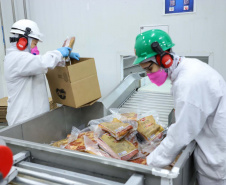 Com sede em Castro, a Alegra abate 3200 suínos por dia e produz cerca de 140 toneladas de produtos diariamente, o que leva a uma média mensal de 3300 toneladas de carnes industrializadas por mês.