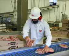 Com sede em Castro, a Alegra abate 3200 suínos por dia e produz cerca de 140 toneladas de produtos diariamente, o que leva a uma média mensal de 3300 toneladas de carnes industrializadas por mês.