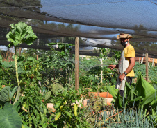 Cultivar Energia doa materiais para horta em Maringá. Foto: Copel
