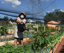 Cultivar Energia doa materiais para horta em Maringá. Foto: Copel