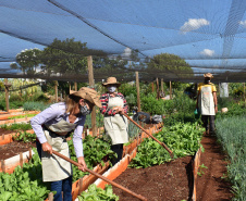 Cultivar Energia doa materiais para horta em Maringá. Foto: Copel
