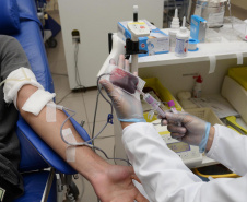 Saúde celebra o Dia Nacional do Doador de Sangue e ressalta a importância da doação. Foto: Venilton Kuchler/Arquivo SESA