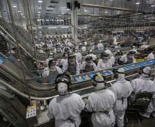 O Paraná abriu 33.008 vagas de trabalho em outubro, terceiro melhor resultado do País em carteiras assinadas. É o quinto mês seguido de alta nas contratações, espantando os efeitos mais severos da pandemia, o que gerou um saldo acumulado de 33.615 novos empregos no ano, segundo melhor indicador do Brasil.  - Foto : Jonathan Campos / AEN