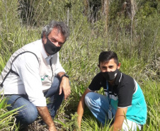 Ações foram coordenadas pelos Escritórios Regionais do Instituto Água e Terra dos dois municípios. Além disso, em Ponta Grossa também ocorreu a soltura de 15 mil peixes no Rio Pitangui e Lago Olarias.
Foto: IAT Ponta Grossa