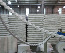Está sediada em Umuarama uma das cinco maiores empresas de estofados do Brasil. A Hellen Estofados e Colchões mantém no município duas unidades fabris, uma que faz colchões e outra que produz os estofados