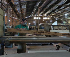 Madermac, empresa especializada na produção de portas, janelas e pisos de madeira. Ribeiro, que é administrador da empresa, explica que toda a produção é feita para pedidos sob medida. Com 36 anos de existência, a Madermac empresa 84 pessoas diretamente.