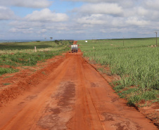 Um convênio entre Itaipu Binacional, Departamento Nacional de Infraestrutura de Transportes (DNIT) e Governo do Paraná vai garantir a execução das obras no trecho paranaense da BR-487, mais conhecida como Estrada Boiadeira. O trecho de 47 km liga os municípios Icaraíma (Porto Camargo) e Umuarama (Serra dos Dourados), no Noroeste do Paraná, e deve estar pronto até início de 2022. 19/11/2020 - Foto: Geraldo Bubniak/AEN