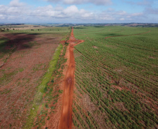 Um convênio entre Itaipu Binacional, Departamento Nacional de Infraestrutura de Transportes (DNIT) e Governo do Paraná vai garantir a execução das obras no trecho paranaense da BR-487, mais conhecida como Estrada Boiadeira. O trecho de 47 km liga os municípios Icaraíma (Porto Camargo) e Umuarama (Serra dos Dourados), no Noroeste do Paraná, e deve estar pronto até início de 2022. 19/11/2020 - Foto: Geraldo Bubniak/AEN