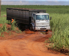 Um convênio entre Itaipu Binacional, Departamento Nacional de Infraestrutura de Transportes (DNIT) e Governo do Paraná vai garantir a execução das obras no trecho paranaense da BR-487, mais conhecida como Estrada Boiadeira. O trecho de 47 km liga os municípios Icaraíma (Porto Camargo) e Umuarama (Serra dos Dourados), no Noroeste do Paraná, e deve estar pronto até início de 2022. 19/11/2020 - Foto: Geraldo Bubniak/AEN