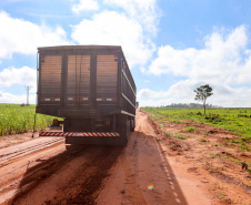 Um convênio entre Itaipu Binacional, Departamento Nacional de Infraestrutura de Transportes (DNIT) e Governo do Paraná vai garantir a execução das obras no trecho paranaense da BR-487, mais conhecida como Estrada Boiadeira. O trecho de 47 km liga os municípios Icaraíma (Porto Camargo) e Umuarama (Serra dos Dourados), no Noroeste do Paraná, e deve estar pronto até início de 2022. 19/11/2020 - Foto: Geraldo Bubniak/AEN