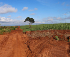 Um convênio entre Itaipu Binacional, Departamento Nacional de Infraestrutura de Transportes (DNIT) e Governo do Paraná vai garantir a execução das obras no trecho paranaense da BR-487, mais conhecida como Estrada Boiadeira. O trecho de 47 km liga os municípios Icaraíma (Porto Camargo) e Umuarama (Serra dos Dourados), no Noroeste do Paraná, e deve estar pronto até início de 2022. 19/11/2020 - Foto: Geraldo Bubniak/AEN