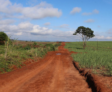 Um convênio entre Itaipu Binacional, Departamento Nacional de Infraestrutura de Transportes (DNIT) e Governo do Paraná vai garantir a execução das obras no trecho paranaense da BR-487, mais conhecida como Estrada Boiadeira. O trecho de 47 km liga os municípios Icaraíma (Porto Camargo) e Umuarama (Serra dos Dourados), no Noroeste do Paraná, e deve estar pronto até início de 2022. 19/11/2020 - Foto: Geraldo Bubniak/AEN