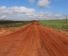 Um convênio entre Itaipu Binacional, Departamento Nacional de Infraestrutura de Transportes (DNIT) e Governo do Paraná vai garantir a execução das obras no trecho paranaense da BR-487, mais conhecida como Estrada Boiadeira. O trecho de 47 km liga os municípios Icaraíma (Porto Camargo) e Umuarama (Serra dos Dourados), no Noroeste do Paraná, e deve estar pronto até início de 2022. 19/11/2020 - Foto: Geraldo Bubniak/AEN