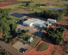 Em Terra Rica está instalada a Farinheira Roders, empresa de origem catarinense que desde 1997 se instalou no paraná para produção de farinha de mandioca. De acordo com Vilmar Roders, proprietário da empresa, são feitas mil toneladas de farinha por mês, sendo que 60% deste volume é destinado à exportação. Foto: José Fernando Ogura/AEN