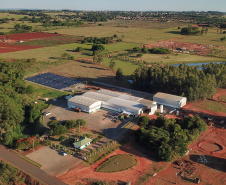 Em Terra Rica está instalada a Farinheira Roders, empresa de origem catarinense que desde 1997 se instalou no paraná para produção de farinha de mandioca. De acordo com Vilmar Roders, proprietário da empresa, são feitas mil toneladas de farinha por mês, sendo que 60% deste volume é destinado à exportação. Foto: José Fernando Ogura/AEN