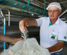 Em Terra Rica está instalada a Farinheira Roders, empresa de origem catarinense que desde 1997 se instalou no paraná para produção de farinha de mandioca. De acordo com Vilmar Roders, proprietário da empresa, são feitas mil toneladas de farinha por mês, sendo que 60% deste volume é destinado à exportação. Foto: José Fernando Ogura/AEN