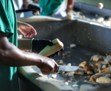 Em Terra Rica está instalada a Farinheira Roders, empresa de origem catarinense que desde 1997 se instalou no paraná para produção de farinha de mandioca. De acordo com Vilmar Roders, proprietário da empresa, são feitas mil toneladas de farinha por mês, sendo que 60% deste volume é destinado à exportação. Foto: José Fernando Ogura/AEN