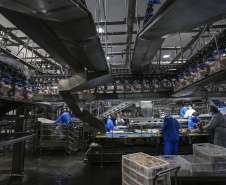 Paraná tem o maior crescimento industrial do País em outubro. Foto: Jonathan Campos/AEN