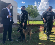 As obras nas unidades penais de Maringá foram concluídas e entregues quarta-feira (09), em solenidade com a presença do secretário estadual da Segurança Pública, Romulo Marinho Soares. Foram investidos R$ 2,2 milhões para revitalização, ampliação e melhorias na Penitenciária Estadual de Maringá, na Colônia Penal e Industrial e na Casa de Custódia – todas concentradas em um único endereço.
Foto: SESP
