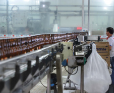 Fica em Paranavaí a maior empresa fabricante de suco de laranja integral do Brasil. Criada em 2012, a Prats foi pensada para socorrer os negócios da família Pratinha, que entre os anos de 2006 e 2011 viu seus rendimentos diluirem com a crise no setor de citrus no Brasil e no exterior.