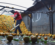 Há cerca de cinco anos a Garoto entrou no mercado de sucos naturais e tem visto os negócios prosperarem. Hoje, o suco Viva Feliz é encontrado nas gôndolas de todo o Sul, Sudeste e parte do Centro-Oeste do Brasil.
