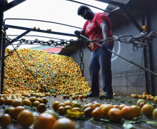 Há cerca de cinco anos a Garoto entrou no mercado de sucos naturais e tem visto os negócios prosperarem. Hoje, o suco Viva Feliz é encontrado nas gôndolas de todo o Sul, Sudeste e parte do Centro-Oeste do Brasil.
