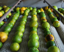 Há cerca de cinco anos a Garoto entrou no mercado de sucos naturais e tem visto os negócios prosperarem. Hoje, o suco Viva Feliz é encontrado nas gôndolas de todo o Sul, Sudeste e parte do Centro-Oeste do Brasil.
