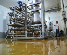 Há cerca de cinco anos a Garoto entrou no mercado de sucos naturais e tem visto os negócios prosperarem. Hoje, o suco Viva Feliz é encontrado nas gôndolas de todo o Sul, Sudeste e parte do Centro-Oeste do Brasil.
