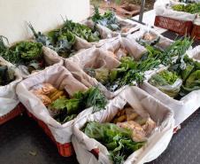 Programas garantem comercialização e renda aos pequenos agricultores. Foto:IDR