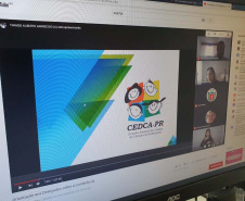 Atuação online mantém atividade dos conselhos de direitos do Estado. Foto:SEJUF