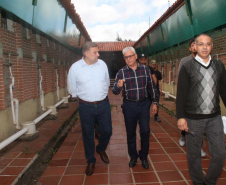 Sistema Socioeducativo do Paraná é referência na prevenção da Covid-19. Foto:SEJUF