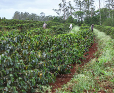 Localizada em Santa Mariana, a fazenda é gerida por Cornélia Gamerschlag e seu marido, Norbert