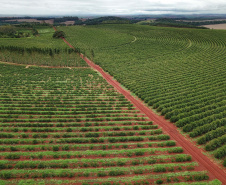 Localizada em Santa Mariana, a fazenda é gerida por Cornélia Gamerschlag e seu marido, Norbert