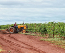 Localizada em Santa Mariana, a fazenda é gerida por Cornélia Gamerschlag e seu marido, Norbert