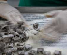 Balas, pescados e cachaça: a riqueza dos produtos do Litoral.Foto Gilson Abreu/AEN