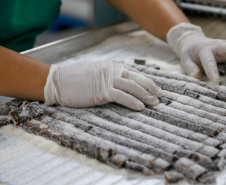 Balas, pescados e cachaça: a riqueza dos produtos do Litoral.Foto Gilson Abreu/AEN