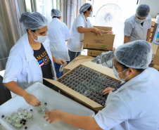 Balas, pescados e cachaça: a riqueza dos produtos do Litoral.Foto Jose Fernando Ogurau/AEN