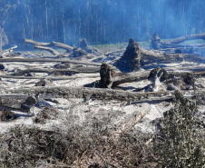 Desmatamento ilegal do Bioma da Mata Atlântica na Região Centro-Sul do Estado.
Foto: Divulgação Sedest/IAT