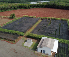  Está instalada em Pato Bragado, no Oeste do Paraná, a Unidade de Produção de Extratos da Sustentec Agricultores Associados. Trata-se de uma instituição que agrupa produtores e técnicos que tem por objetivo criar soluções para a promoção do desenvolvimento sustentável na cadeia produtiva de plantas medicinais.