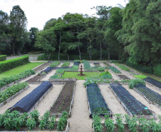 Instalada em Colombo, na Região Metropolitana de Curitiba, a Herbarium é líder no mercado de fitoterápicos no País. A empresa tem 35 anos e 450 colaboradores produzindo, em média, 650 mil unidades de medicamentos por mês.